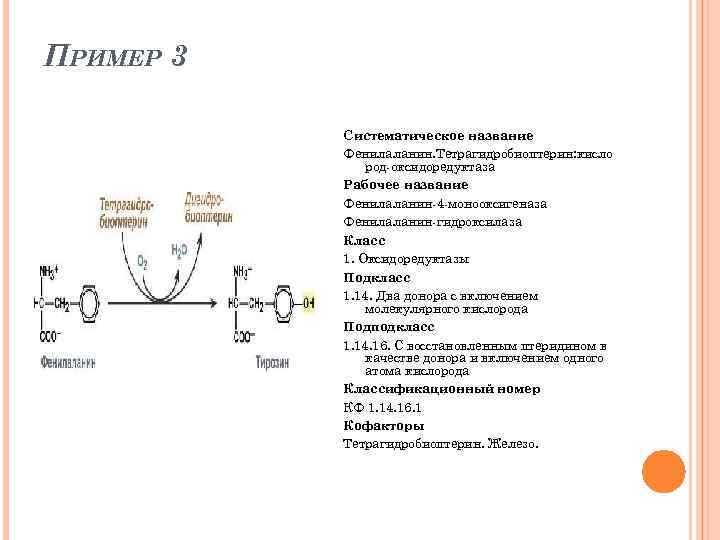ПРИМЕР 3 Систематическое название Фенилаланин. Тетрагидробиоптерин: кисло род оксидоредуктаза Рабочее название Фенилаланин 4 монооксигеназа