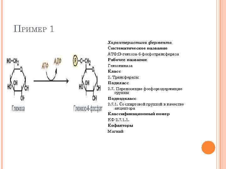 ПРИМЕР 1 Характеристика фермента Систематическое название АТФ: D гексоза 6 фосфотрансфераза Рабочее название Гексокиназа