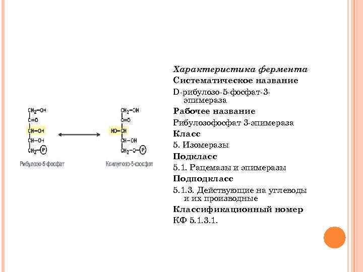 Характеристика фермента Систематическое название D рибулозо 5 фосфат 3 эпимераза Рабочее название Рибулозофосфат 3