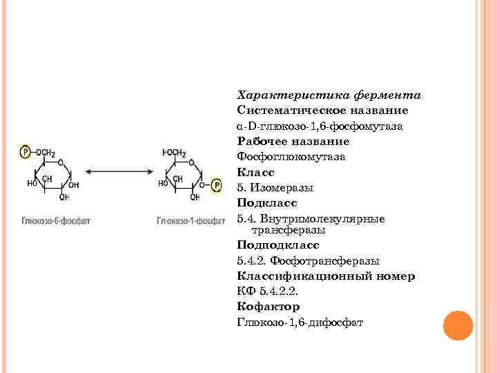 Характеристика фермента Систематическое название α D глюкозо 1, 6 фосфомутаза Рабочее название Фосфоглюкомутаза Класс