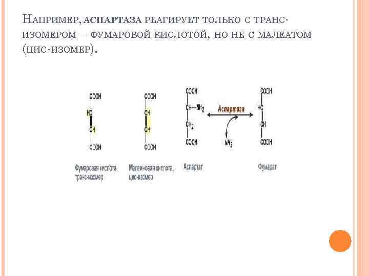 НАПРИМЕР, АСПАРТАЗА РЕАГИРУЕТ ТОЛЬКО С ТРАНС ИЗОМЕРОМ – ФУМАРОВОЙ КИСЛОТОЙ, НО НЕ С МАЛЕАТОМ