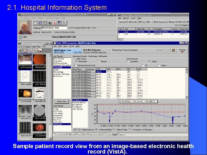 2. 1. Hospital Information System Sample patient record view from an image-based electronic health