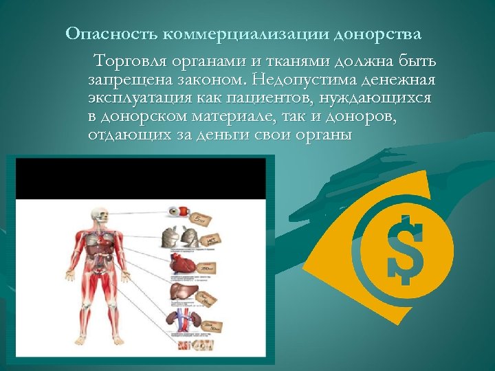 Опасность коммерциализации донорства Торговля органами и тканями должна быть запрещена законом. Недопустима денежная эксплуатация