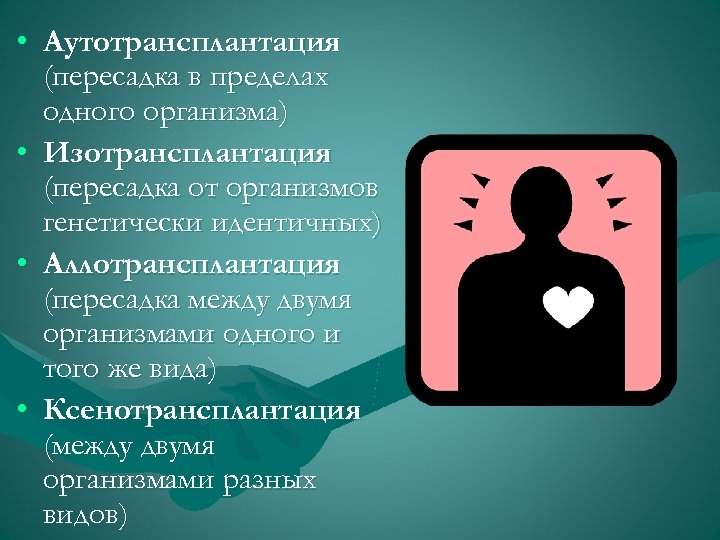  • Аутотрансплантация (пересадка в пределах одного организма) • Изотрансплантация (пересадка от организмов генетически