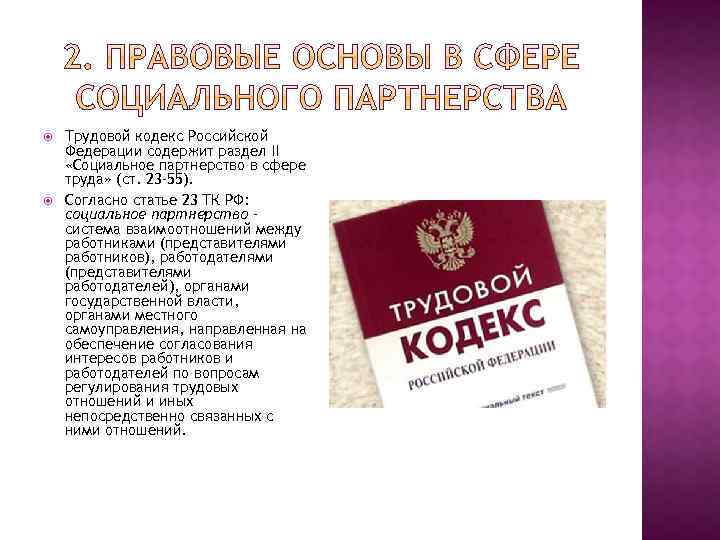 Статья 23 кодекса. Трудовой кодекс РФ содержит. Ст 23 ТК РФ. Трудовой кодекс Российской Федерации содержит:. ТК РФ раздел II. Социальное партнерство в сфере труда.