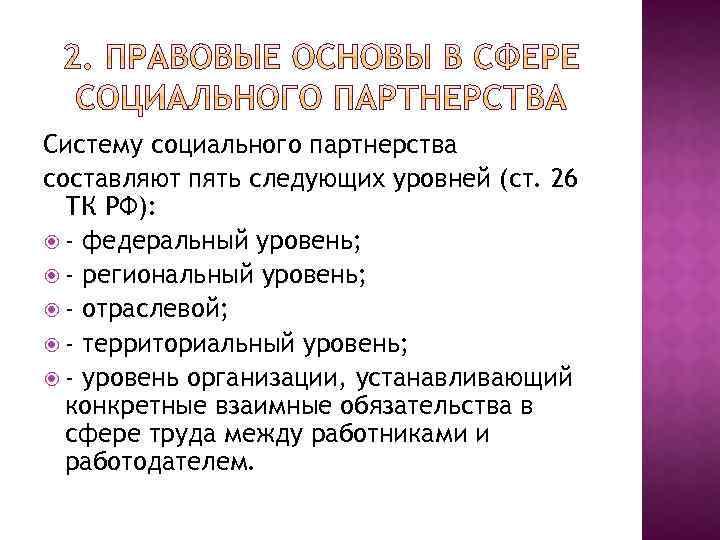 Систему социального партнерства составляют пять следующих уровней (ст. 26 ТК РФ): - федеральный уровень;