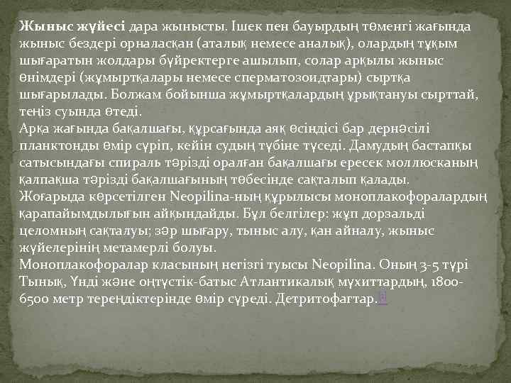 Жыныс жүйесі дара жынысты. Ішек пен бауырдың төменгі жағында жыныс бездері орналасқан (аталық немесе