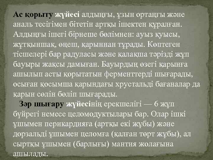 Ac қорыту жүйесі алдыңғы, ұзын ортаңғы және аналь тесігімен бітетін артқы ішектен құралған. Алдыңғы