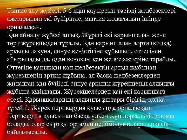 Тыныс алу жүйесі. 5 -6 жұп қауырсын тәрізді желбезектері аяқтарының екі бүйірінде, мантия жолағының