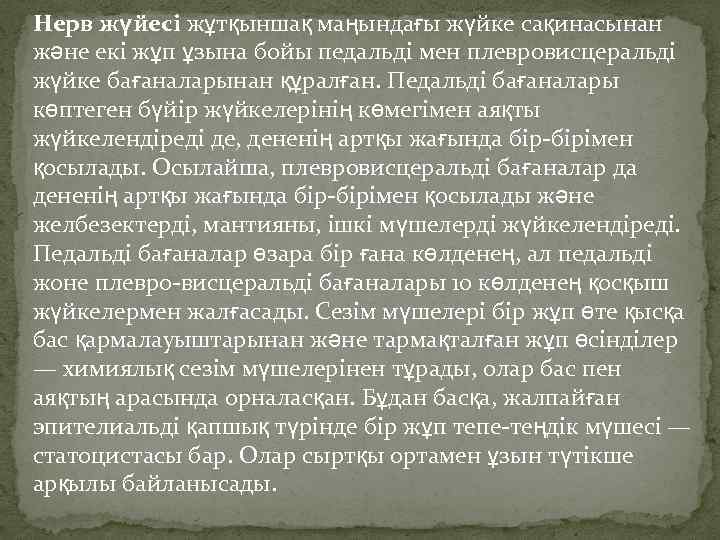 Нерв жүйесі жұтқыншақ маңындағы жүйке сақинасынан және екі жұп ұзына бойы педальді мен плевровисцеральді