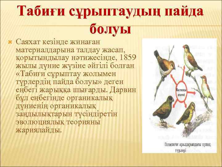 Табиғи сұрыптаудың пайда болуы Саяхат кезінде жинаған материалдарына талдау жасап, қорытындылау нәтижесінде, 1859 жылы