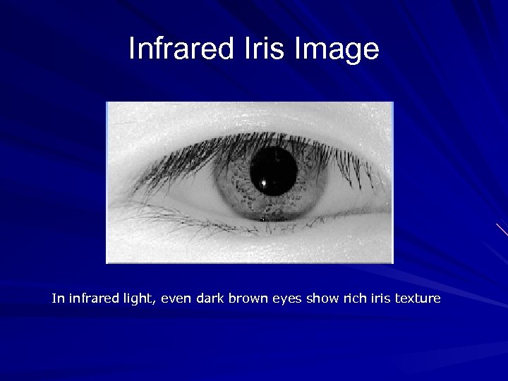 Infrared Iris Image In infrared light, even dark brown eyes show rich iris texture