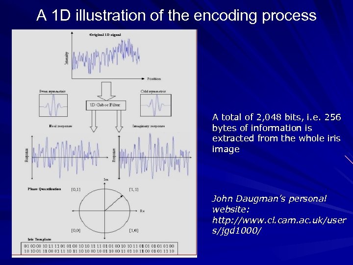 A 1 D illustration of the encoding process A total of 2, 048 bits,