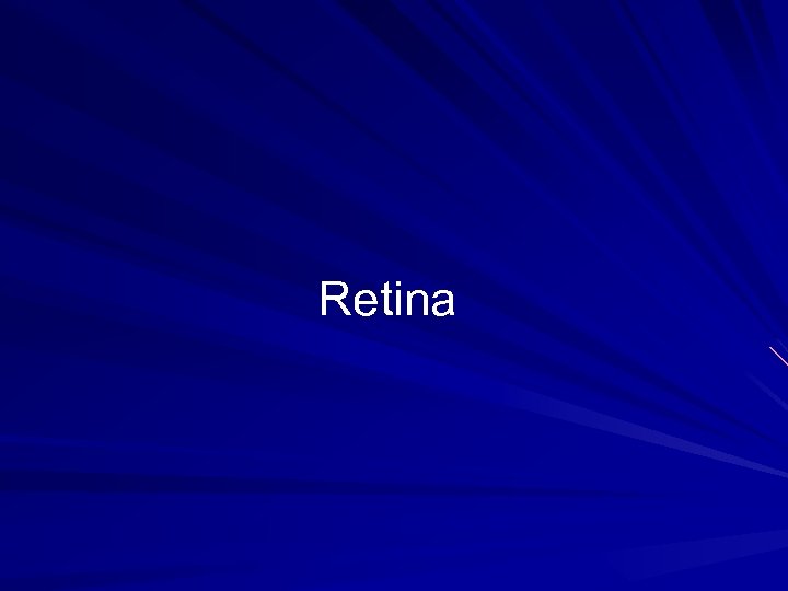 Retina 