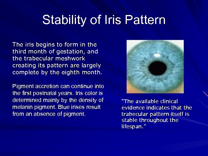 Stability of Iris Pattern The iris begins to form in the third month of