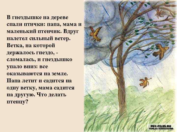 В гнездышке на дереве спали птички: папа, мама и маленький птенчик. Вдруг налетел сильный