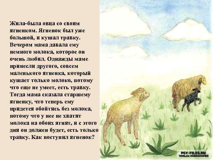 Жила-была овца со своим ягненком. Ягненок был уже большой, и кушал травку. Вечером мама