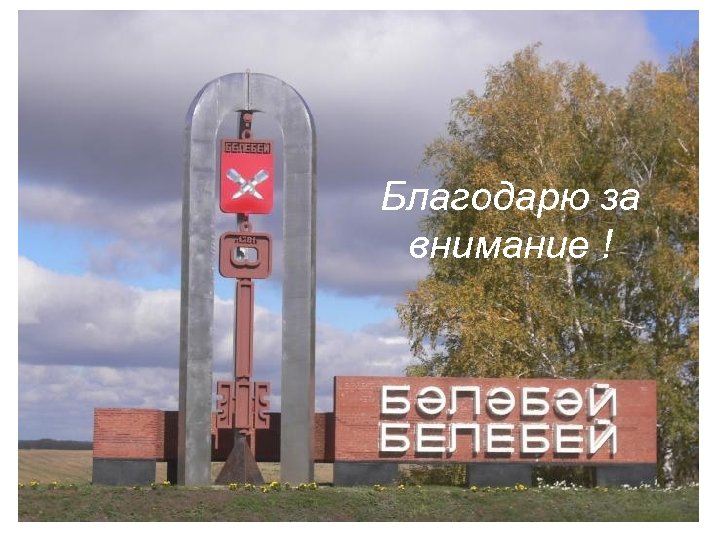 Благодарю за внимание ! 