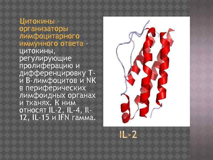 Цитокины – организаторы лимфоцитарного иммунного ответа – цитокины, регулирующие пролиферацию и дифференцировку Ти В-лимфоцитов