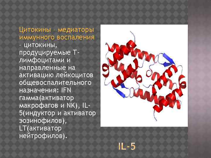 Цитокины – медиаторы иммунного воспаления – цитокины, продуцируемые Тлимфоцитами и направленные на активацию лейкоцитов