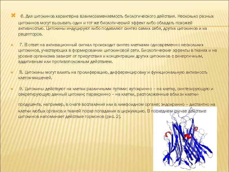  6. Для цитокинов характерна взаимозаменяемость биологического действия. Несколько разных цитокинов могут вызывать один