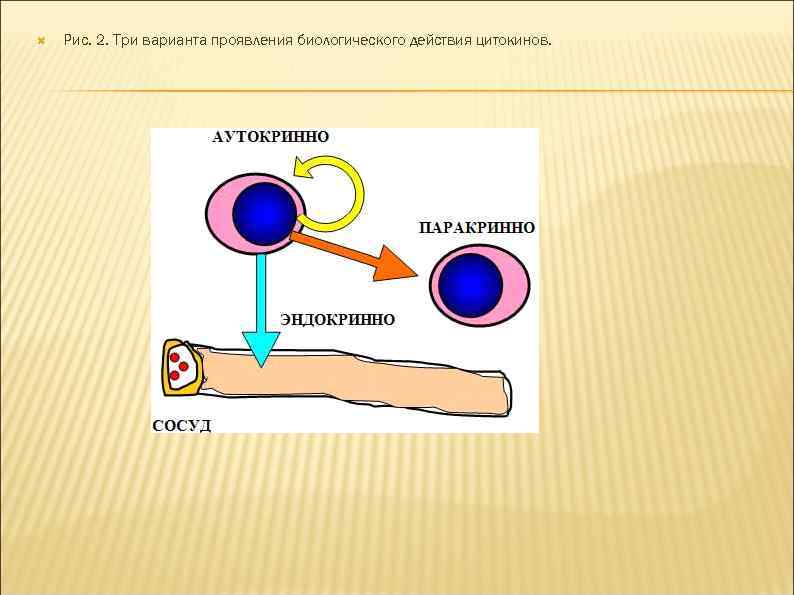 Проявить биологический. Варианты проявления биологического действия цитокинов. Биологическое действие цитокинов. Варианты проявления биологического действия цитокинов паракринно. Подпишите варианты проявления биологического действия цитокинов..