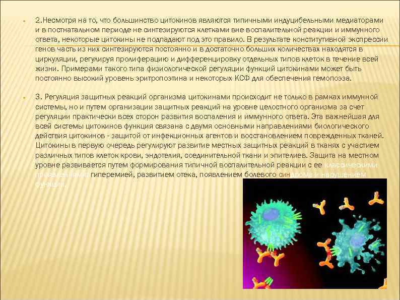  2. Несмотря на то, что большинство цитокинов являются типичными индуцибельными медиаторами и в