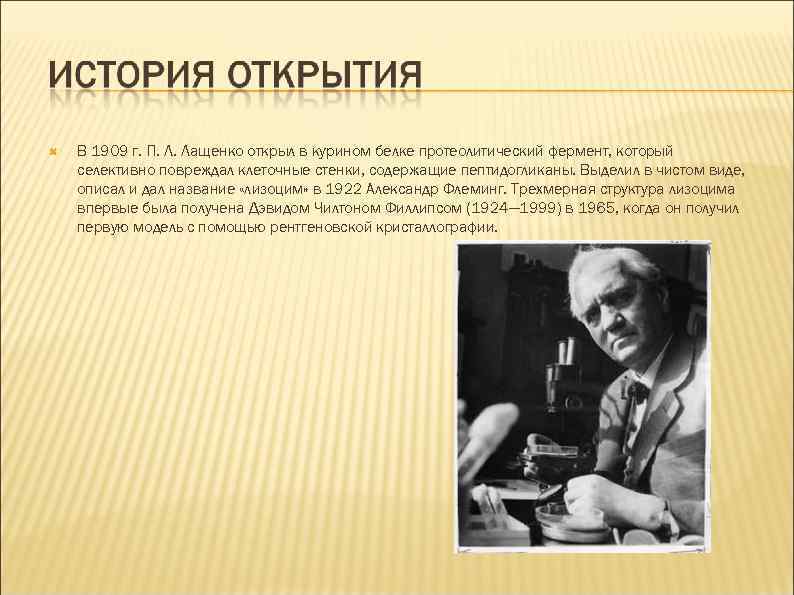  В 1909 г. П. Л. Лащенко открыл в курином белке протеолитический фермент, который