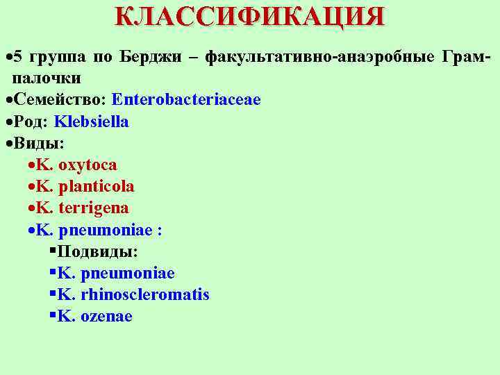 КЛАССИФИКАЦИЯ 5 группа по Берджи – факультативно-анаэробные Грампалочки Семейство: Enterobacteriaceae Род: Klebsiella Виды: K.