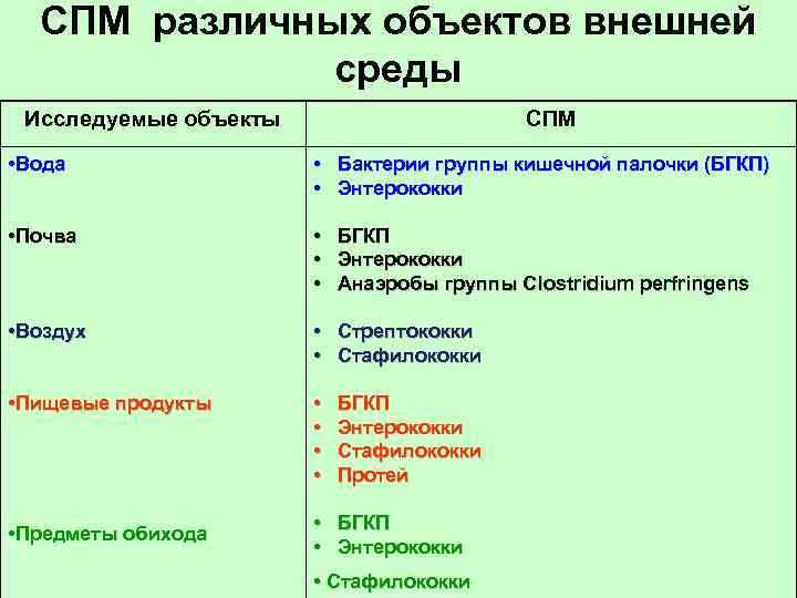 СПМ различных объектов внешней среды Исследуемые объекты СПМ • Вода • Бактерии группы кишечной