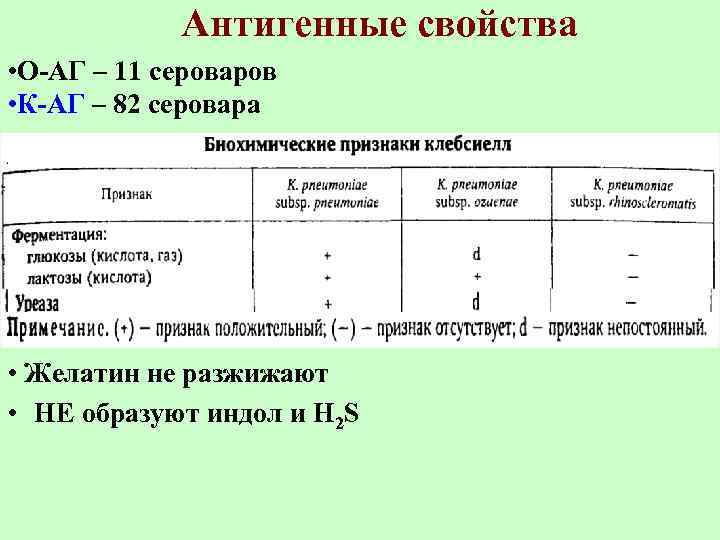 Антигенные свойства • О-АГ – 11 сероваров • К-АГ – 82 серовара • Желатин