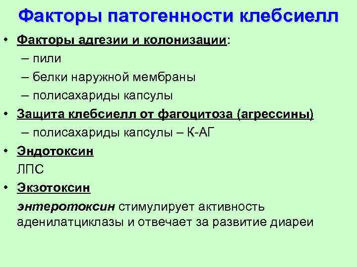 Факторы патогенности клебсиелл • Факторы адгезии и колонизации: – пили – белки наружной мембраны