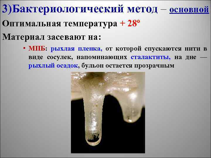 3)Бактериологический метод – основной Оптимальная температура + 28º Материал засевают на: • МПБ: рыхлая