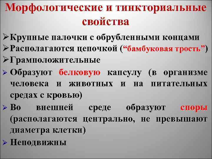 Морфологические и тинкториальные свойства ØКрупные палочки с обрубленными концами ØРасполагаются цепочкой (“бамбуковая трость”) ØГрамположительные