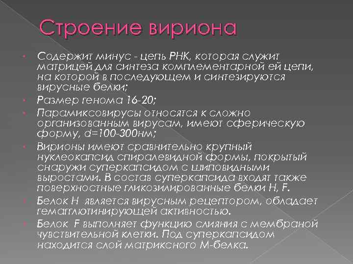 Строение вириона • • • Содержит минус - цепь РНК, которая служит матрицей для