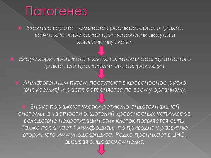 Патогенез Входные ворота - слизистая респираторного тракта, возможно заражение при попадании вируса в конъюнктиву