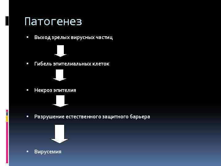 Патогенез Выход зрелых вирусных частиц Гибель эпителиальных клеток Некроз эпителия Разрушение естественного защитного барьера
