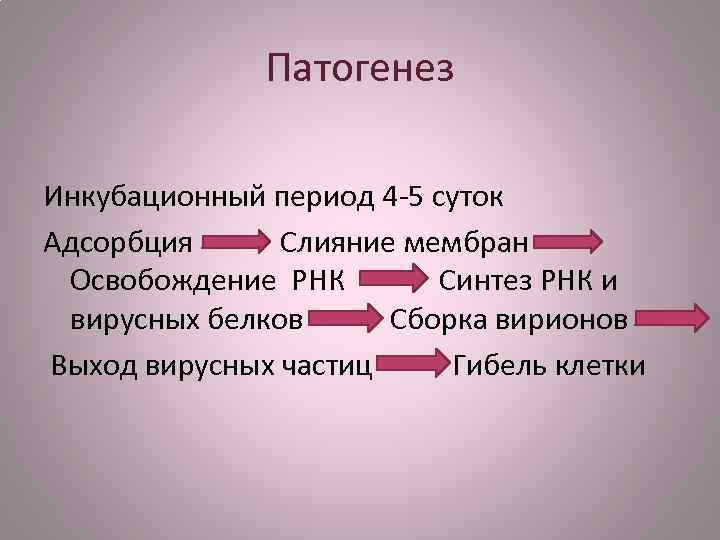 Патогенез Инкубационный период 4 -5 суток Адсорбция Слияние мембран Освобождение РНК Синтез РНК и