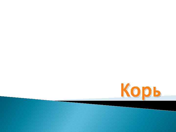 Корь 