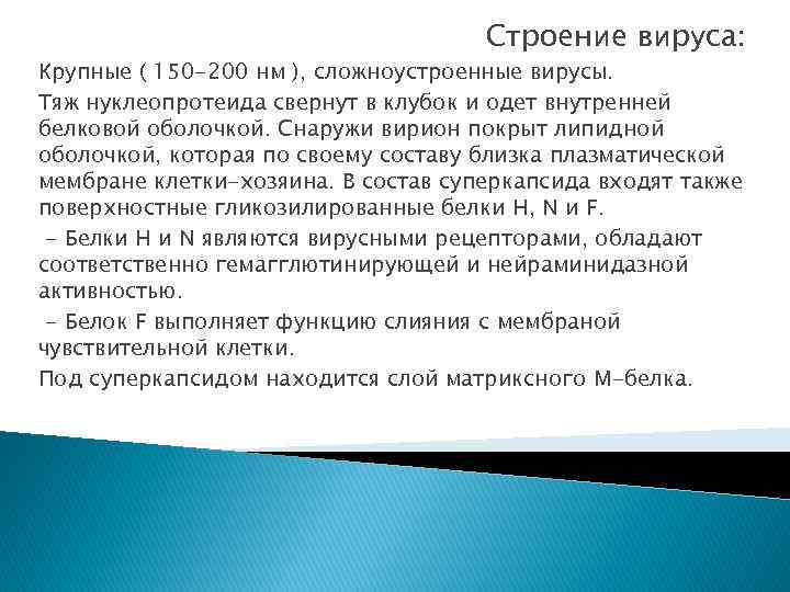 Строение вируса: Крупные ( 150 -200 нм ), сложноустроенные вирусы. Тяж нуклеопротеида свернут в