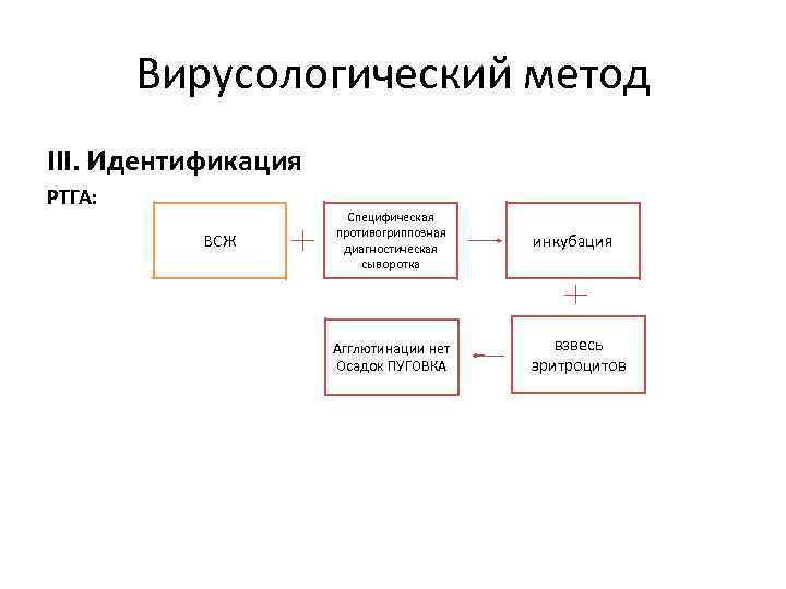 Вирусоскопический метод картинки