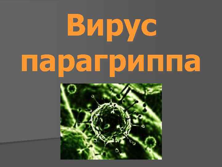 Вирус парагриппа 