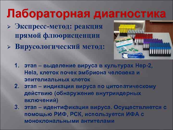 Лабораторная диагностика Ø Ø Экспресс-метод: реакция прямой флюорисценции Вирусологический метод: 1. этап – выделение