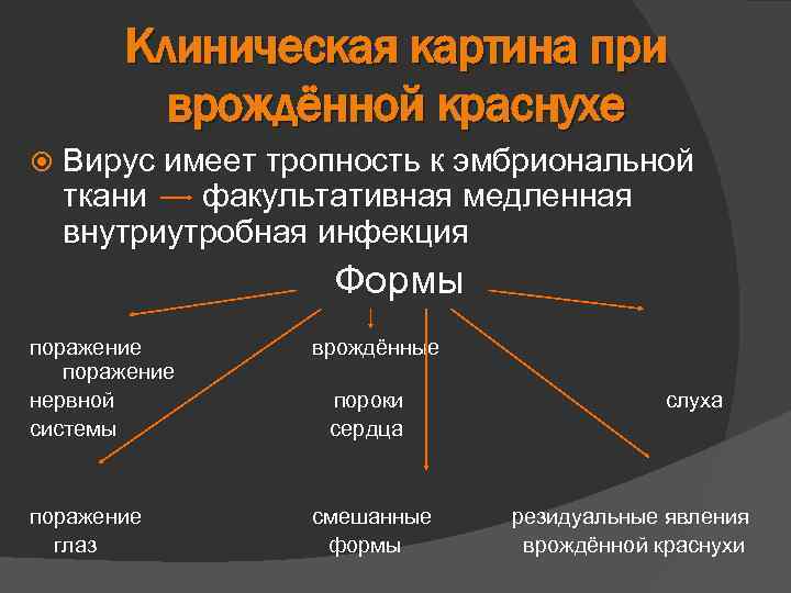 Клиническая картина при врождённой краснухе Вирус имеет тропность к эмбриональной ткани факультативная медленная внутриутробная