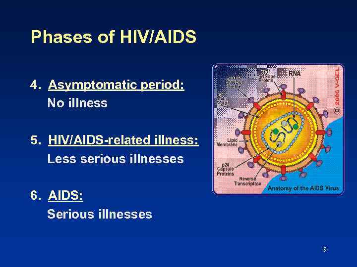 Phases of HIV/AIDS 4. Asymptomatic period: No illness 5. HIV/AIDS-related illness: Less serious illnesses