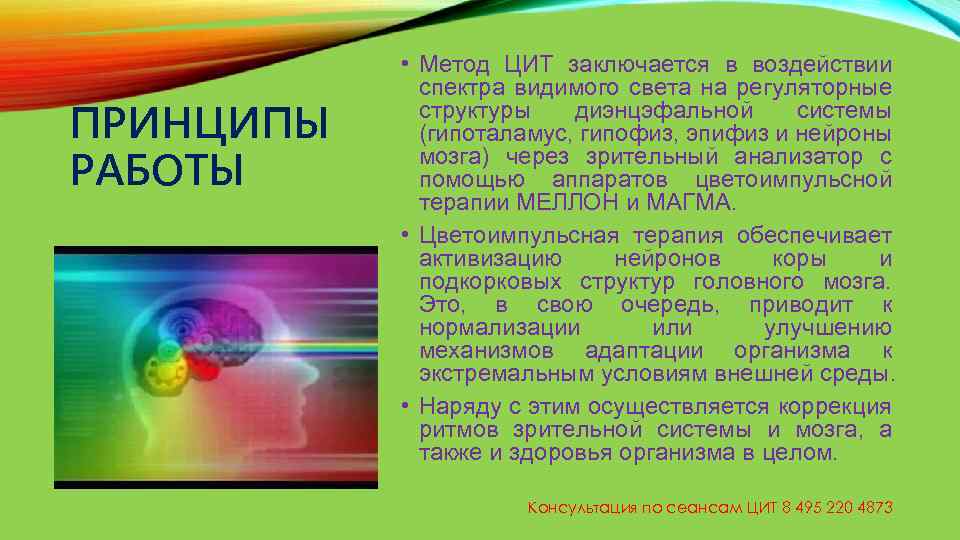 ПРИНЦИПЫ РАБОТЫ • Метод ЦИТ заключается в воздействии спектра видимого света на регуляторные структуры