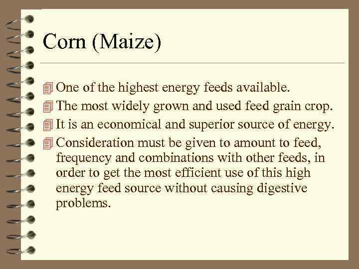 Corn (Maize) 4 One of the highest energy feeds available. 4 The most widely