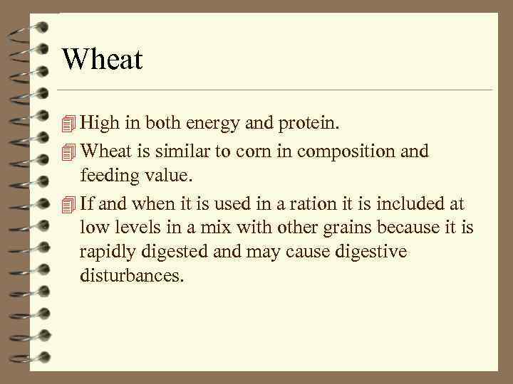 Wheat 4 High in both energy and protein. 4 Wheat is similar to corn