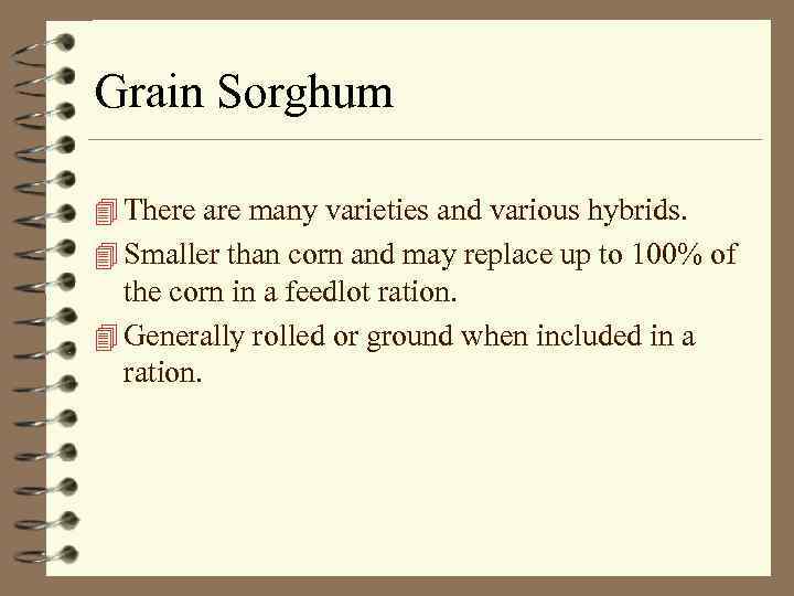 Grain Sorghum 4 There are many varieties and various hybrids. 4 Smaller than corn