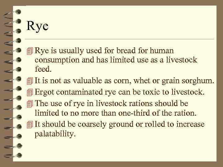 Rye 4 Rye is usually used for bread for human consumption and has limited